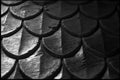 Patterned stone background. Black and white image. Royalty Free Stock Photo