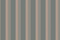 Patterned vector texture seamless, halloween background textile fabric. Unique stripe lines vertical pattern in gray quill and Royalty Free Stock Photo