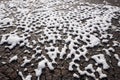 Patterned Walkway with Snow