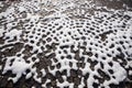 Patterned Walkway with Snow