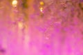 patternless colorful abstract blur background is unique abstract background and is ideal as backdrop for advertising typography