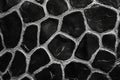 Pattern number 266, hyper realistic drawing for backround work