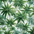 Seamless pattern with cannabis leaves. Background with green leaves Royalty Free Stock Photo