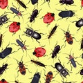Patterns with beetles