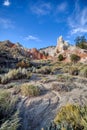 Patterns and cracks in the high desert in Utah Royalty Free Stock Photo