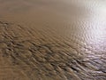 Patterns created ÃÂ¾n the sand by waves and wind Royalty Free Stock Photo