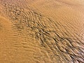 Patterns created ÃÂ¾n the sand by waves and wind Royalty Free Stock Photo