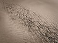 Patterns created ÃÂ¾n the sand by waves and wind Royalty Free Stock Photo