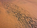 Patterns created ÃÂ¾n the sand by waves and wind Royalty Free Stock Photo
