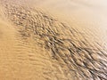 Patterns created ÃÂ¾n the sand by waves and wind Royalty Free Stock Photo