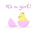 Text: It`s a girl, a cute chick hatched from an egg Royalty Free Stock Photo