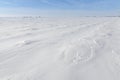 Patterns on a fresh snow texture on a field Royalty Free Stock Photo
