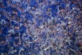 patterns on glass, frosty drawings in winter on a window, blue background and ice drawings, droplets of fody, reflection throug