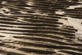 Patterns made by sun, sea, wind and tyde on beach Cadzand Royalty Free Stock Photo