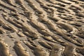 Patterns made by sun, sea, wind and tyde on beach Cadzand Royalty Free Stock Photo