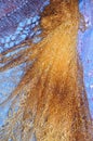 Patterns of the Orenburg downy shawl Royalty Free Stock Photo