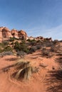 Patterns in the Red Soil - Canyonlands National Park Needles District Utah