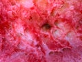 Patterns of red water-melon masses Royalty Free Stock Photo
