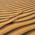Patterns of sand form intricate textures with subtle shadows highlight Royalty Free Stock Photo