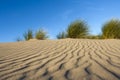 Patterns in sand Royalty Free Stock Photo