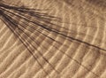 Sand dune pattern and shadow Royalty Free Stock Photo