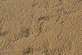 Patterns of sand and water with light reflections Royalty Free Stock Photo