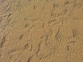 Patterns of sand and water with light reflections Royalty Free Stock Photo