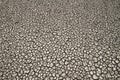 Patterns and textures of cracked soil. Royalty Free Stock Photo