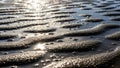 Sunlight glistens off the wet stone adding a shimmering effect Royalty Free Stock Photo