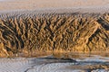 Patterns of tidal mud rivulets in an estuary Royalty Free Stock Photo