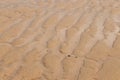 Patterns in the sand in Belgium Royalty Free Stock Photo