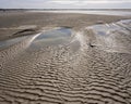 Patterns of wet sand in baie de somme Royalty Free Stock Photo