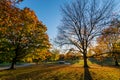 Patterson Park During Autumn in Baltimore, Maryland Royalty Free Stock Photo
