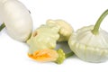 Patty pan squash with a flower on white Royalty Free Stock Photo