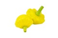 Pattypan squash (Cucurbita pepo var. patisson) Royalty Free Stock Photo
