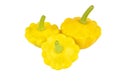 Pattypan squash (Cucurbita pepo var. patisson) Royalty Free Stock Photo