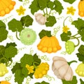 Pattypan Squash Seamless Pattern Design with Scalloped Vegetable Vector Template