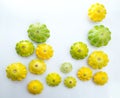 Pattypan squashes vegetable. Group of green and yellow. Royalty Free Stock Photo