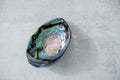 Paua polished shell on light concrete background. Close up with shadow. Paua is Maori for abalone.