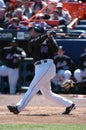 Paul Lo Duca New York Mets Royalty Free Stock Photo