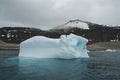 Paulet island , Antartic landscape, Royalty Free Stock Photo