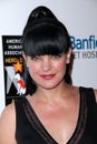 Pauley Perrette Royalty Free Stock Photo