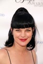 Pauley Perrette Royalty Free Stock Photo