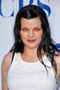 Pauley Perrette Royalty Free Stock Photo