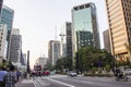 Paulista Avenue - Protest - Human Rights Day Royalty Free Stock Photo