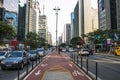 Paulista Avenue Royalty Free Stock Photo