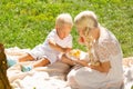 Calm children eating sweets in the park