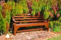 Pause for a moment (wooden bark bench)