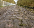 Pave d`Arenberg Royalty Free Stock Photo