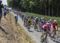 The Yellow Jersey in the Peloton - Tour de France 2018 Royalty Free Stock Photo